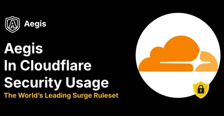 Aegis Adaptation for Cloudflare Usage Scenarios