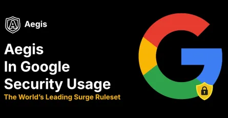 Aegis Adaptation for Google Usage Scenarios