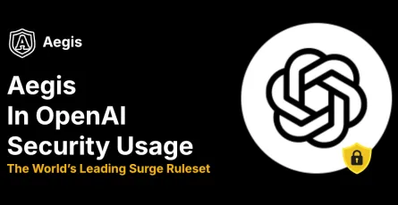 Aegis Adaptation for OpenAI Usage Scenarios